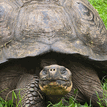 Galapagos Pristine on Instagram