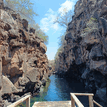 Galapagos Pristine on Instagram