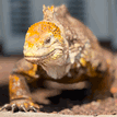 Galapagos Pristine on Instagram