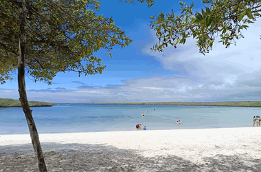 Galapagos Islands landscape