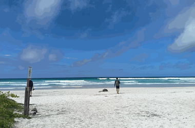Galapagos Islands landscape
