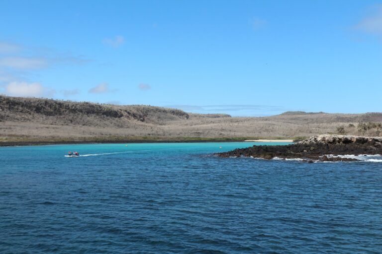 The turquoise bay of Santa Fe island