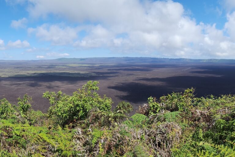 The wide caldera of Sierra Negra