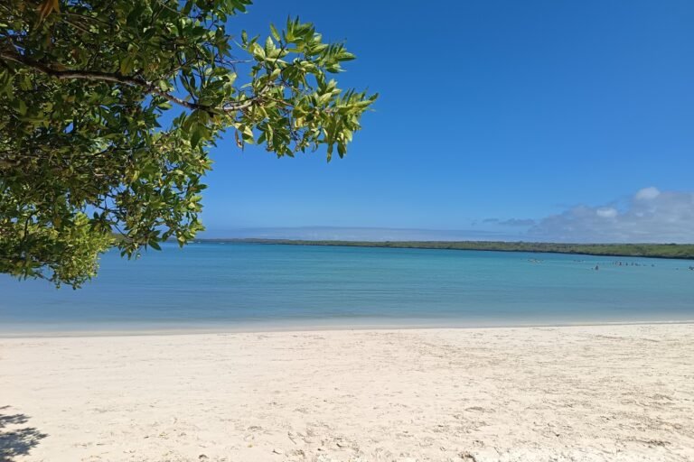 The white sand and turquoise water of Tortuga Bay