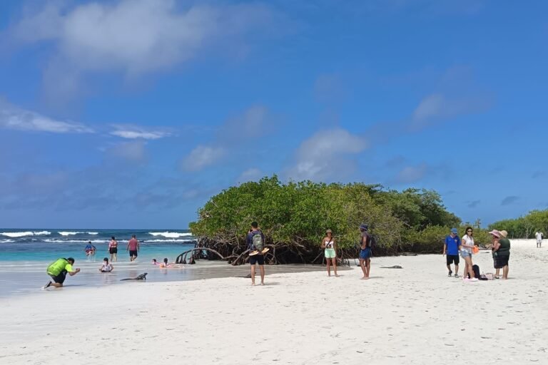 White sand beach with a green mangrove islet, bathers and blue sky