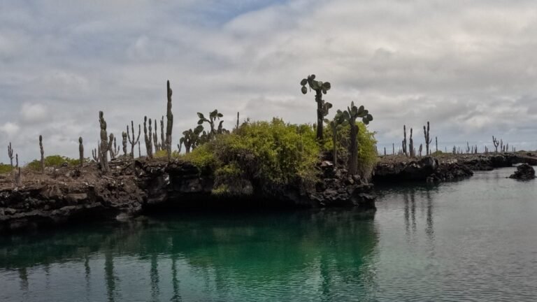 The turquoise channel and candelabra cactus at the Cabo Rosa tunnels