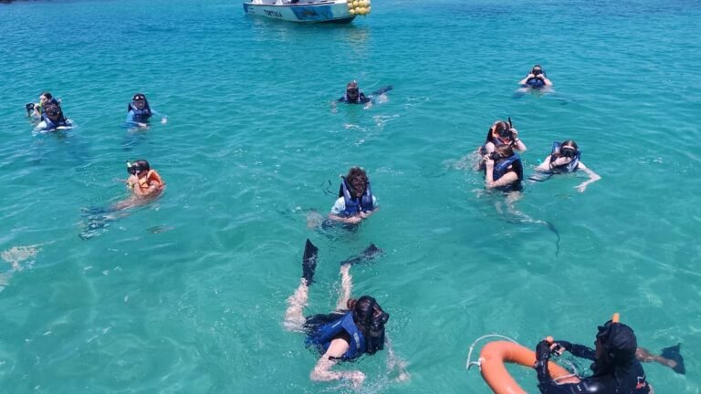 A group of snorkellers in the water beside the boat